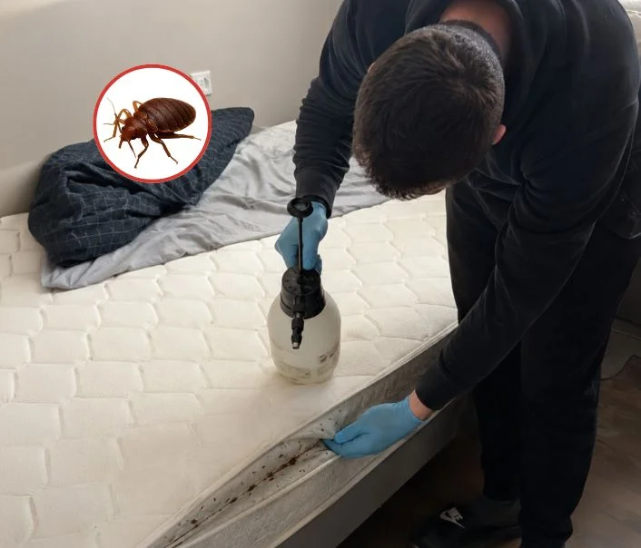 Technicien traitant un matelas contre les punaises de lit à Paris 2eme